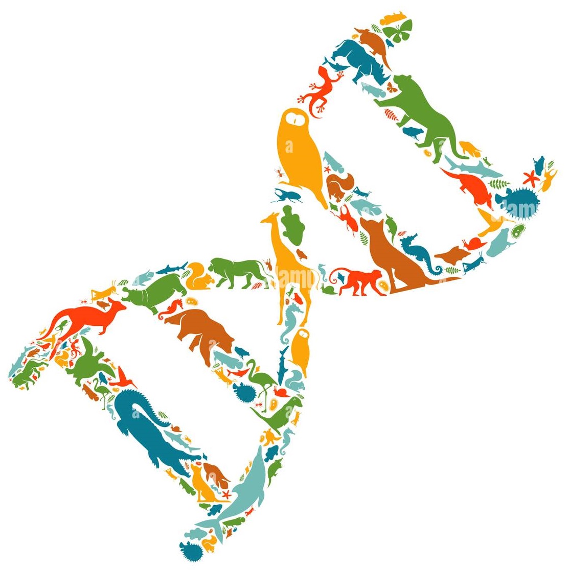 Science of Animal Behavior